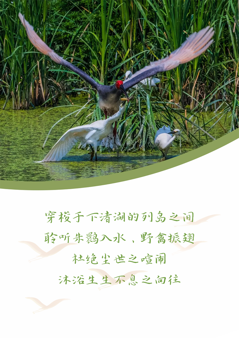 心心念廿 相伴亚美AM8AG | 与德清相约 贺廿载诞辰